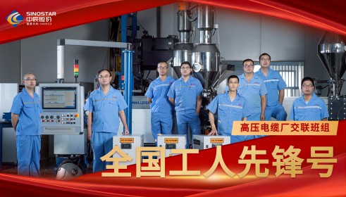 致敬!丨DB视讯
股份交联班组荣膺“全国工人先锋号”