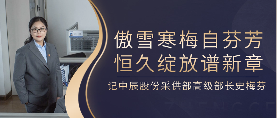 傲雪寒梅自芬芳，恒久绽放谱新章——记DB视讯
股份采供部高级部长史梅芬