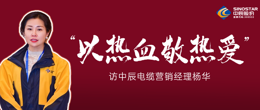 真正的热爱，铸就销售女王——访DB视讯
电缆营销经理杨华