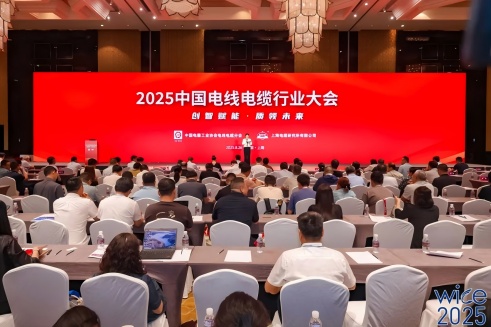 连续10年！DB视讯
股份荣膺“2025中国线缆产业最具竞争力企业100强”